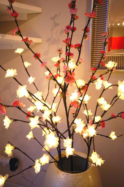 Le Briantais Apartment Saint-Malo Phòng bức ảnh